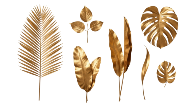 Isolated Golden Tropical Leaves