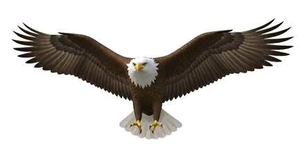 Fototapeta premium Majestic Eagle Soaring with Wings Spread Wide on Transparent Background