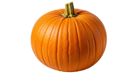 Isolated Orange Pumpkin