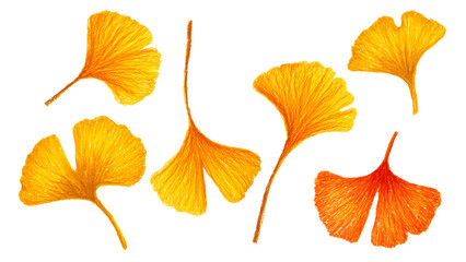 Obraz premium 手書きイラスト風のイチョウの葉素材01