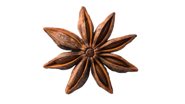 single star anise spice top view isolated on white