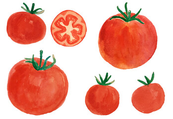 トマト　水彩画