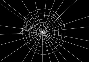 Creepy spider on a spooky web perfect for Halloween designs and scary creative projects this season