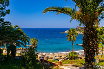 Scenic summer view of a tropical beach framed by lush palm trees with a pathway leading to the turquoise sea. People swimming and relaxing on the sandy coast, enjoying sunny weather and crystal clear