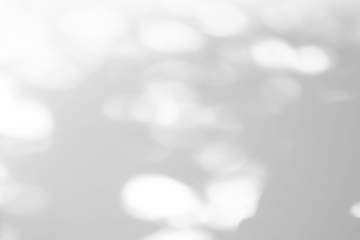 Abstract natural tree leaves shadow on white wall background