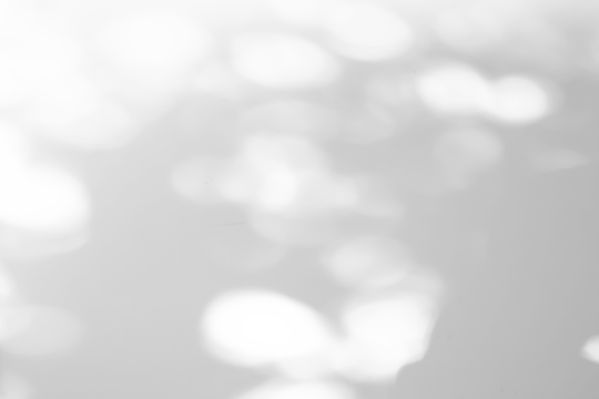 Abstract natural tree leaves shadow on white wall background - Powered by Adobe