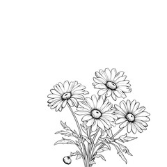 Black and white illustration of a bouquet of daisies with detailed petals and leaves.