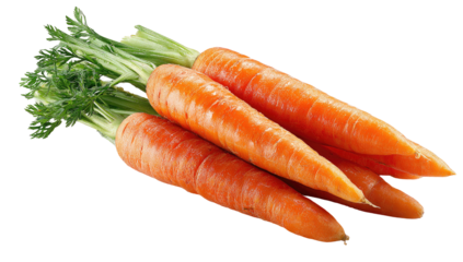 Close-up of a bunch of fresh, vibrant orange carrots with green tops.  The carrots are  slightly curved and lie in a slightly overlapping arrangement