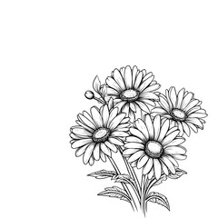 Detailed black and white line drawing of a bouquet of daisies with multiple blooms, leaves, and a small bud.