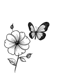 Black and white drawing of a flower and butterfly.