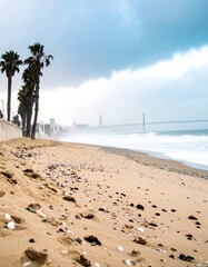 Stormy beach with palm trees and distant bridge