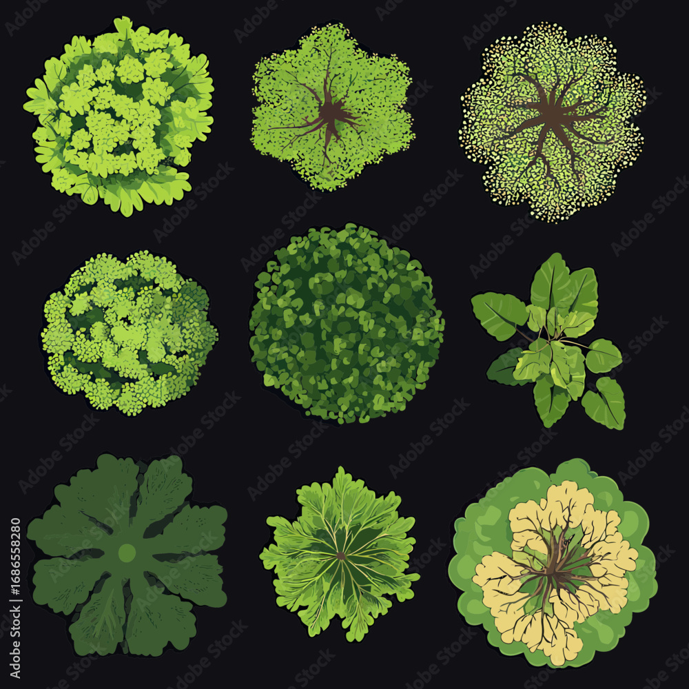 Poster top view green tree set with various leafy canopy shapes and patterns isolated on black background f