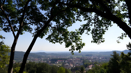 a view of a small town through the trees