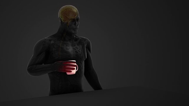 Human Hand Holding Hot Cup with Sensory Nerve Signals