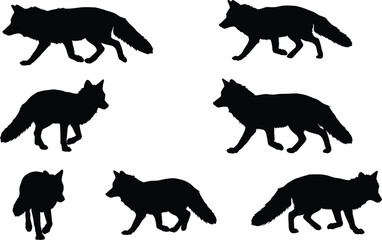 Fox silhouette collection, walking poses, animal shape, black vector, nature icon, wildlife outline, bushy tail, side profile, posture study