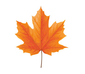 Vibrant autumnal maple leaf graphic