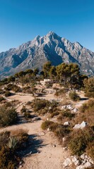 A dusty path meanders through rugged terrain, leading towards a cluster of trees, with a grand, pointed mountain dominating the clear blue sky in the background