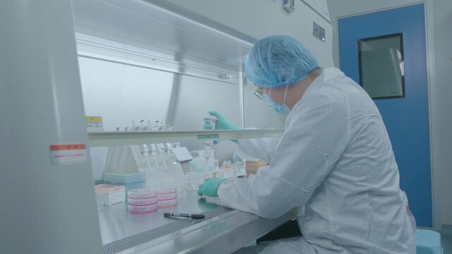 A scientist in a sterile laboratory environment, focused on experimental operations within a laminar flow hood.