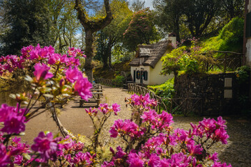 Fototapety na wymiar - Fototapeta24.pl