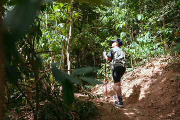 Obraz premium Boy hiking on a natural trail surrounded by lush greenery during a sunny day in the forest