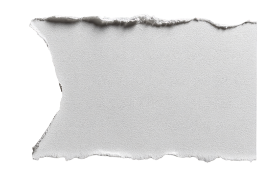 A torn piece of white paper (6)