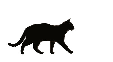 Vector Silhouette Icon of Cat in Minimalist Flat SVG Design with Black Color for Web and App Interfaces