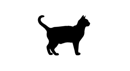Minimalist Vector SVG Icon of Cat Silhouette in Black Flat Style for Digital Branding