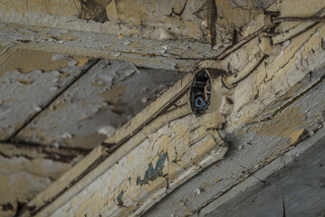 JUNCTION BOX - An antiquated surface electrical installation on a wooden building structure