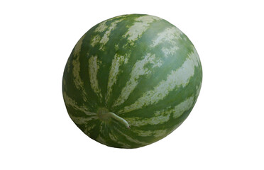 A large ripe watermelon stands.
