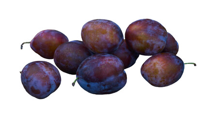 A large red ripe plum stands.