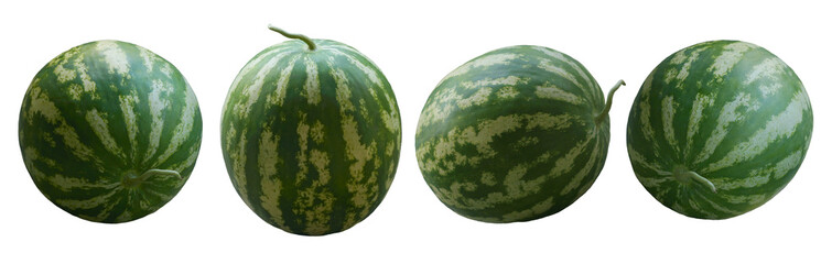 A large ripe watermelon stands.
