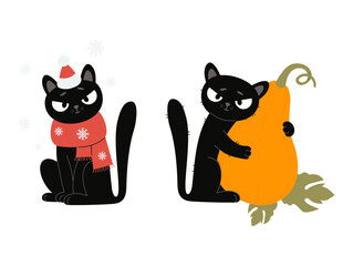Cute Winter, Autumn Black Cat. Funny Seasonal Pet character With Orange Pumpkin and in Scarf and Santa Hat Under Snowflakes. Vector illustration. Not AI
