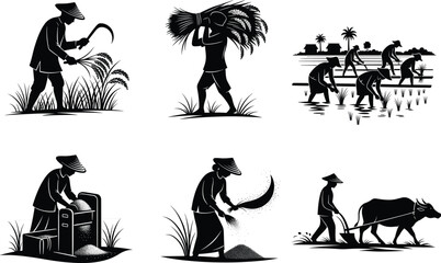 Traditional rice farming, rural agriculture, harvesting rice, planting seedlings, threshing grain, ox plowing, rice processing, Asian countryside, manual labor, farming culture