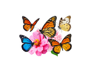 Obraz premium Colorful flower butterflies on a white background