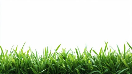 Playful zigzag grass border with subtle shadow effects, vibrant green hues, clean white background, scalable for print or web design