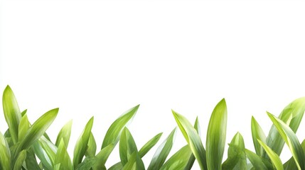 Playful zigzag grass border with subtle shadow effects, vibrant green hues, clean white background, scalable for print or web design