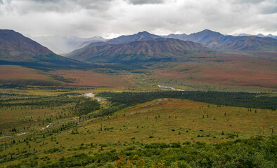 View of Savage River in Denali when autumn starts