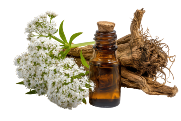 Close-up of medicinal plants, white flowers, and a bottle of herbal oil