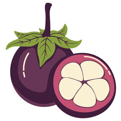 Whole and cut mangosteen fruit, tropical exotic fruit illustration for healthy food, juice, and dessert designs.
