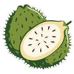 Whole and half cut soursop fruit, tropical exotic fruit illustration perfect for healthy food and juice designs.