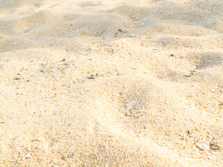 Nature travel background, sand beach close up texture summer desert zen garden coast ocean for vacation, hot tropical scene nature, holiday dune pile dry brown heap