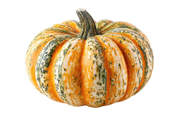 Close-up of a small, decorative pumpkin.  Striped orange, yellow, and green.  Rounded shape, prominent stem