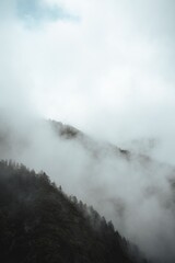 Misty mountain landscape with foggy forest.
