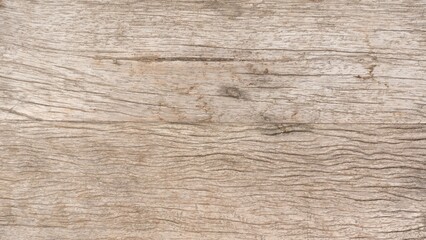 Fototapeta premium Texture - wood