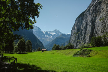 Green Valley in the Swiss Alps, Lauterbrunnen