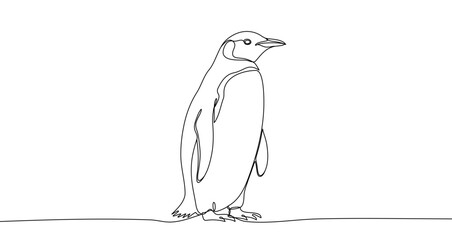 Penguin in one line art style. Drawing of penguin with editable black stroke on white background. Vector illustration.