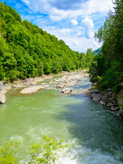 landscape with mountain river running through forest on a summer day. beautiful nature scenery of...