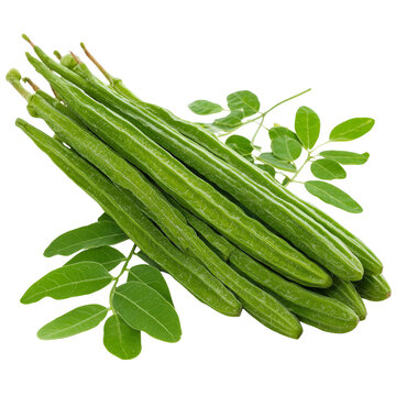 moringa pods drumsticks on transparent png background