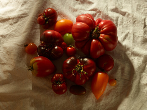 vintage still life with tomatoes over white linen tablecloth