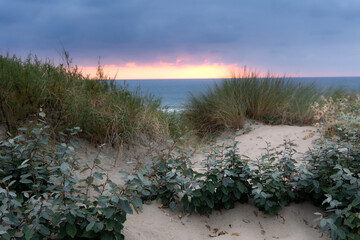 La dune
